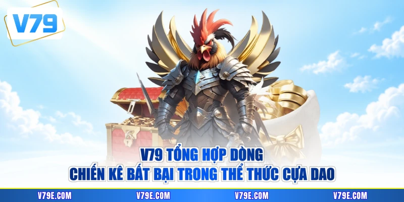 V79 tổng hợp dòng chiến kê bất bại trong thể thức cựa dao
